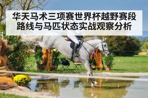 华天马术三项赛世界杯越野赛段路线与马匹状态实战观察分析 | kaiyun